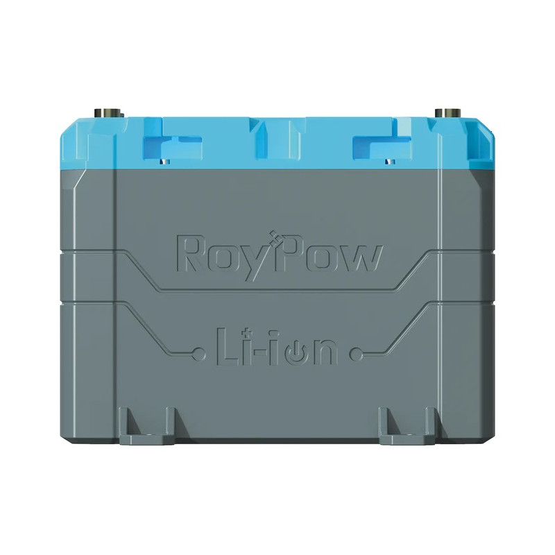 RoyPow Litiumakku 50Ah 24V B2450H