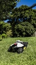 Mammotion Luba 2 Mini 800 AWD robottiruohonleikkuri vision & RTK
