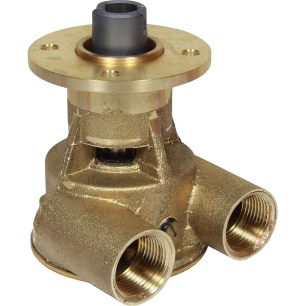 Johnson Pump 10-24119-2 F5B-9002 Kumisiipipumppu OEM, Perkins, Iveco, Nanni