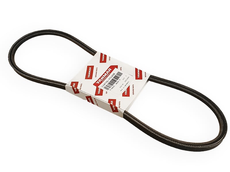 Yanmar Laturin hihna 6LY-STE/6LP-SRJ