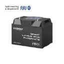 Renogy 12V 100Ah LiFePO4 Litiumakku lämmityksellä